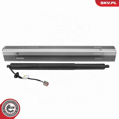 Electric Motor, tailgate ESEN SKV 52SKV279