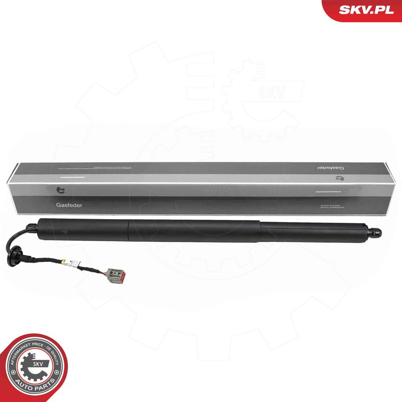 ESEN SKV 52SKV280 Electric Motor, tailgate