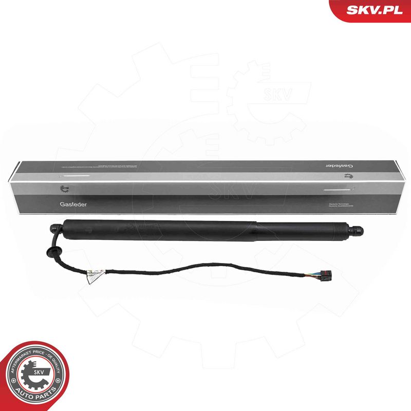 ESEN SKV 52SKV281 Electric Motor, tailgate