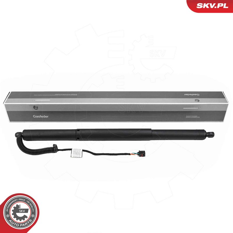 ESEN SKV 52SKV282 Electric Motor, tailgate