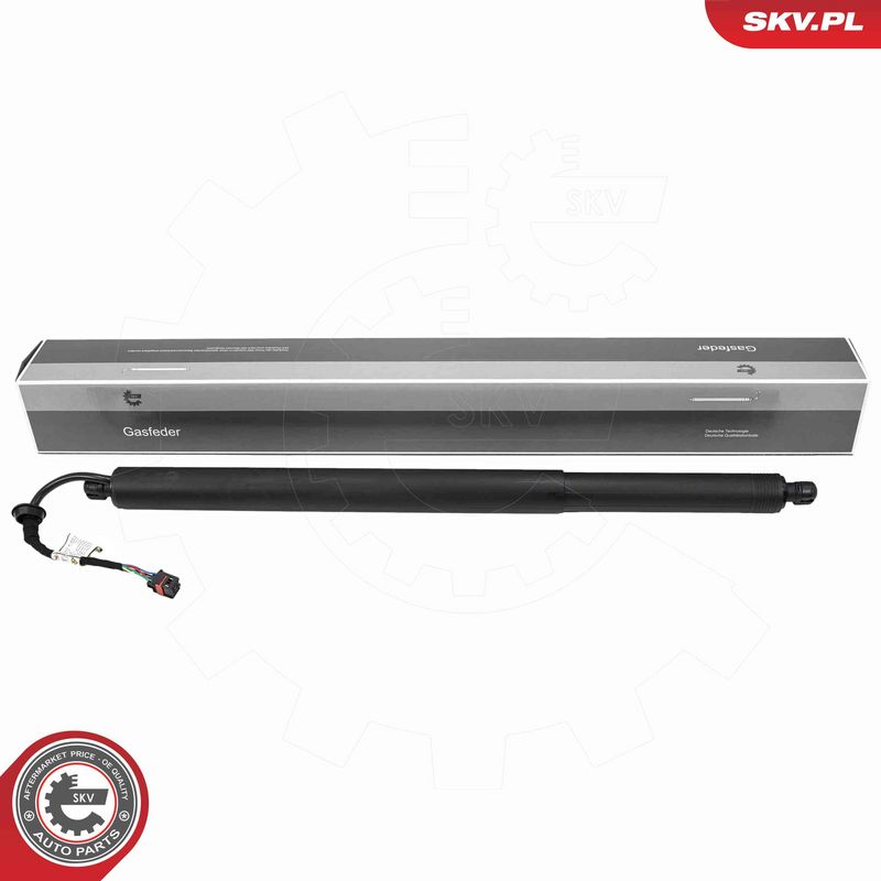 ESEN SKV 52SKV283 Electric Motor, tailgate