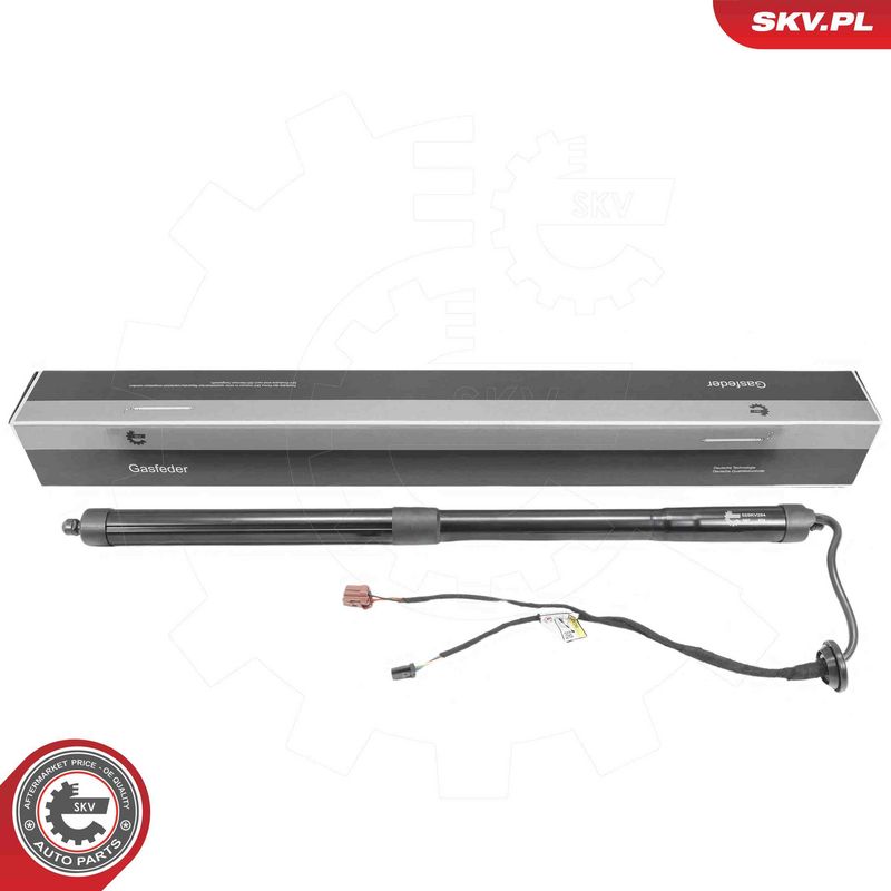ESEN SKV 52SKV284 Electric Motor, tailgate