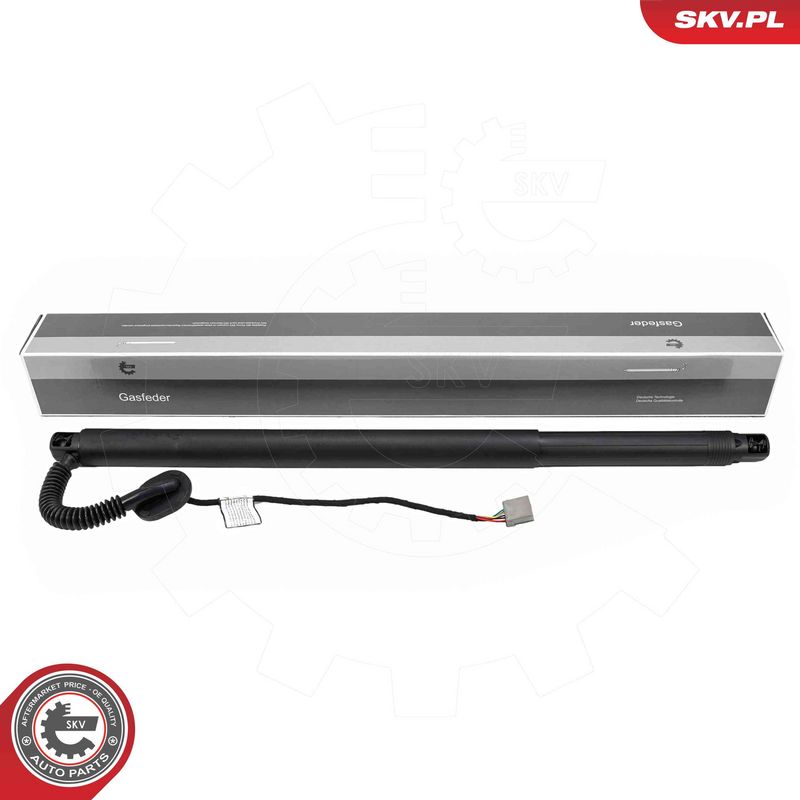 ESEN SKV 52SKV285 Electric Motor, tailgate