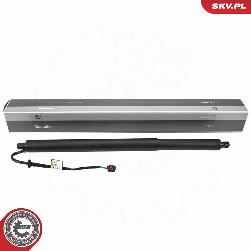 ESEN SKV 52SKV286 Electric Motor, tailgate