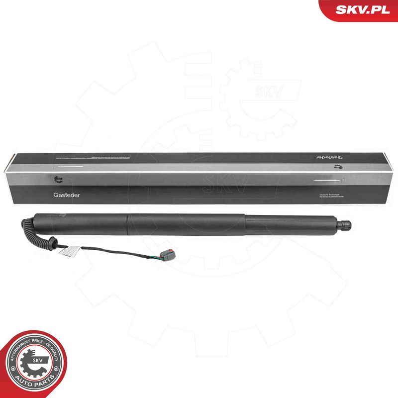 ESEN SKV 52SKV289 Electric Motor, tailgate