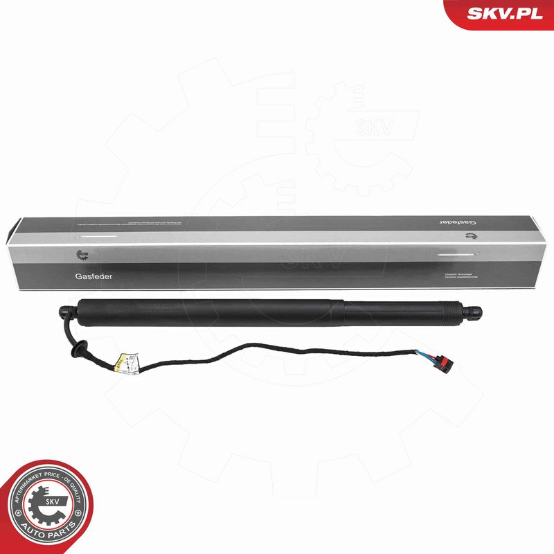 ESEN SKV 52SKV290 Electric Motor, tailgate