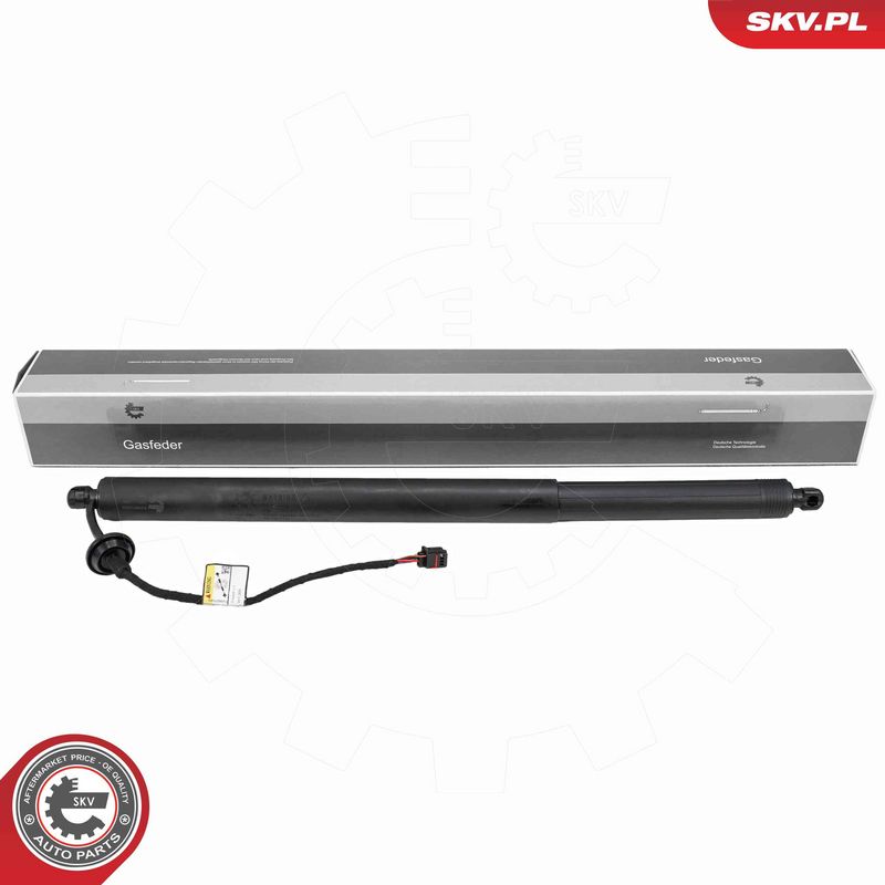 ESEN SKV 52SKV292 Electric Motor, tailgate