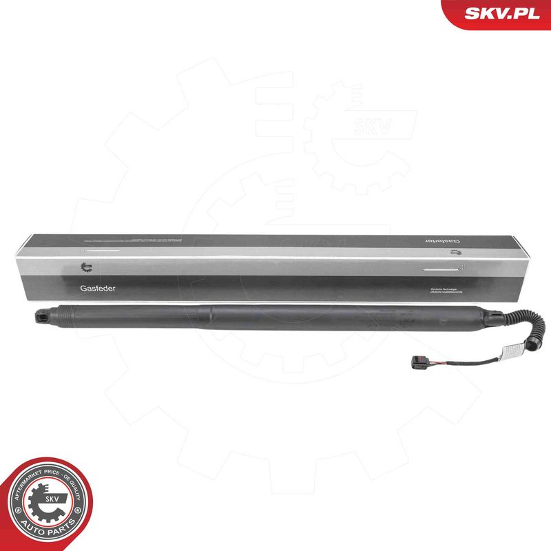 ESEN SKV 52SKV293 Electric Motor, tailgate