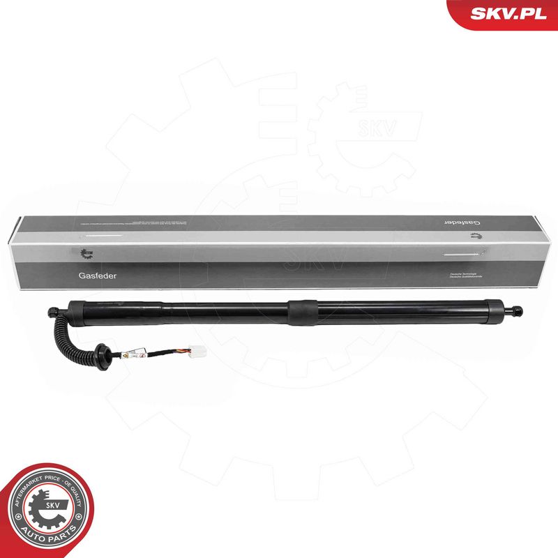 ESEN SKV 52SKV295 Electric Motor, tailgate