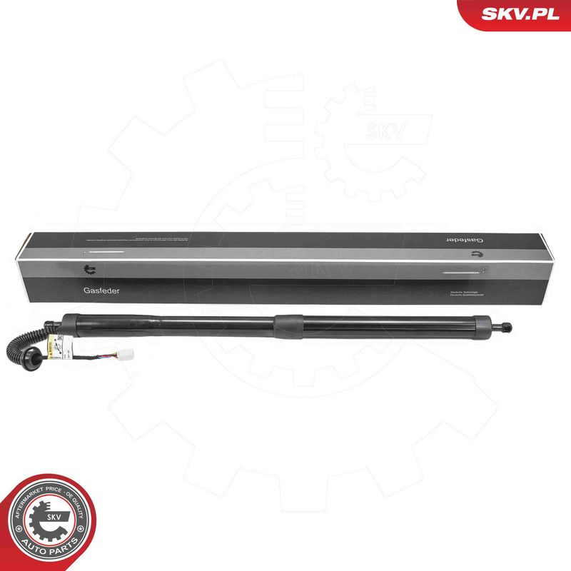 ESEN SKV 52SKV296 Electric Motor, tailgate