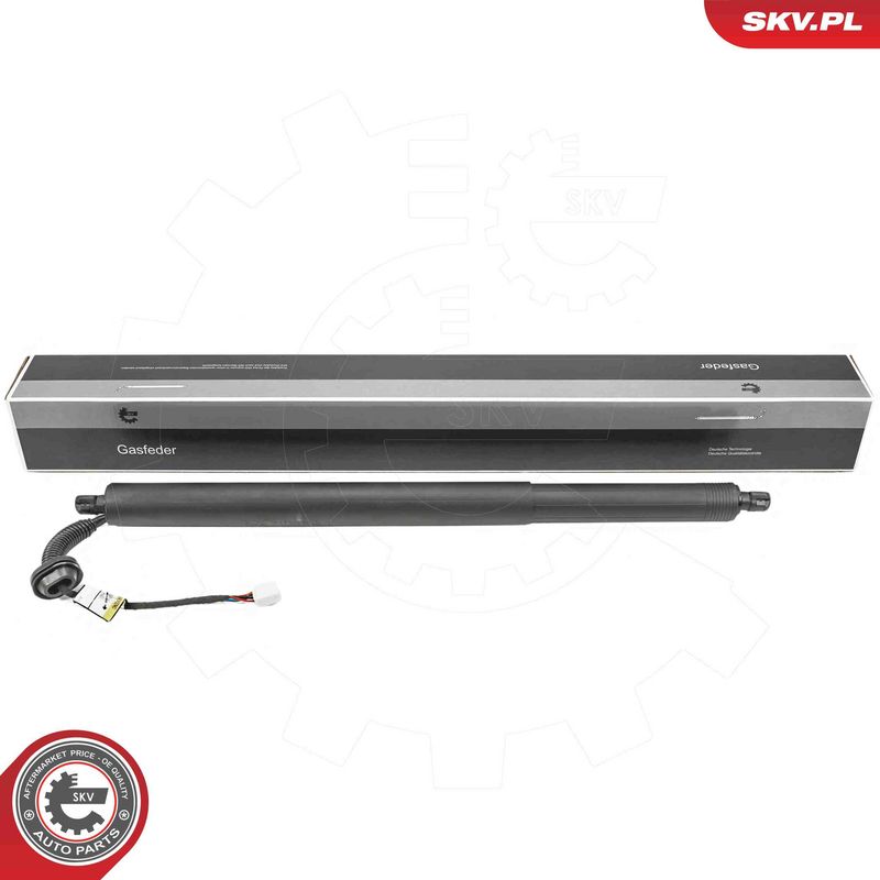 ESEN SKV 52SKV297 Electric Motor, tailgate