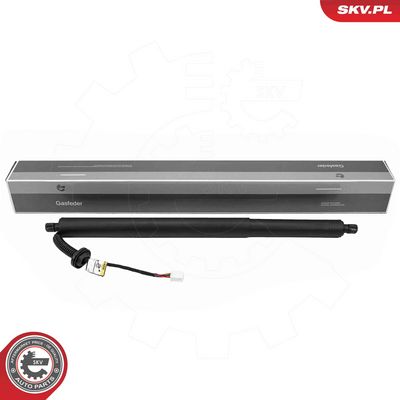 Electric Motor, tailgate ESEN SKV 52SKV298