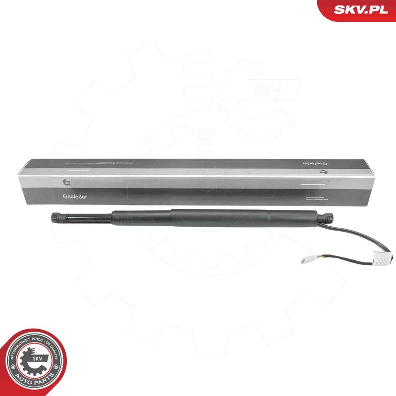 ESEN SKV 52SKV299 Electric Motor, tailgate