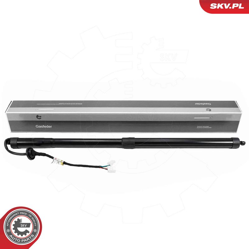 ESEN SKV 52SKV300 Electric Motor, tailgate