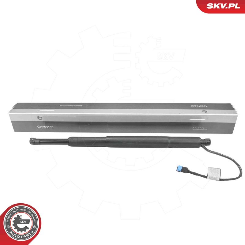 ESEN SKV 52SKV839 Electric Motor, tailgate