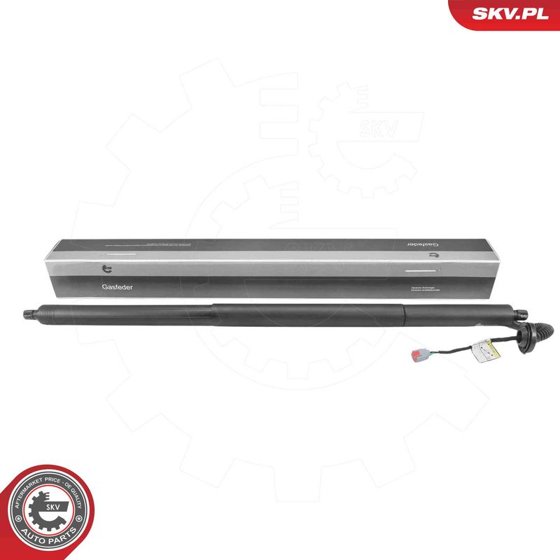 ESEN SKV 52SKV860 Electric Motor, tailgate