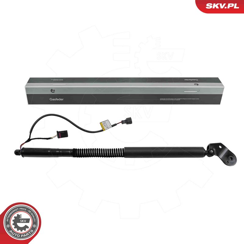 ESEN SKV 52SKV874 Electric Motor, tailgate