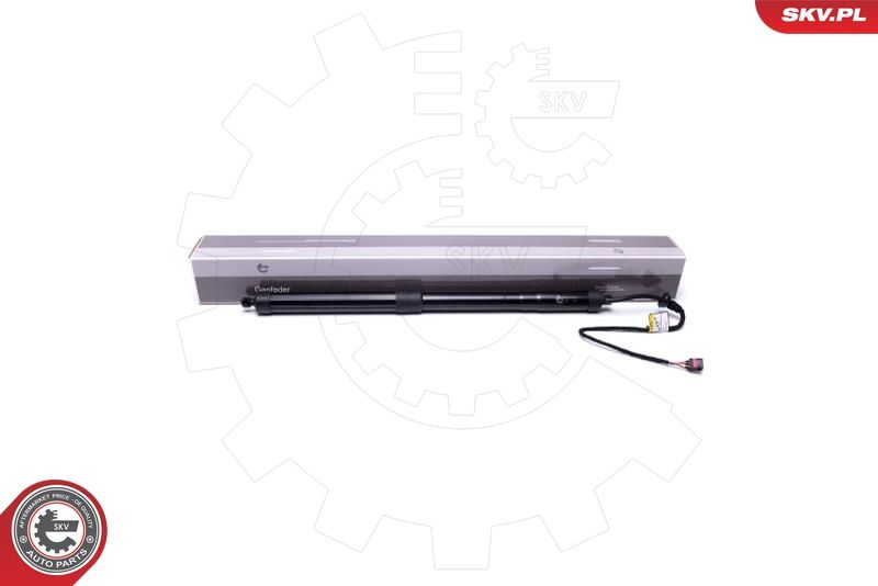 ESEN SKV 52SKV902 Electric Motor, tailgate