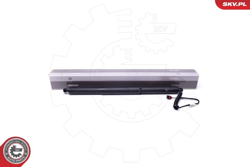 ESEN SKV 52SKV903 Electric Motor, tailgate