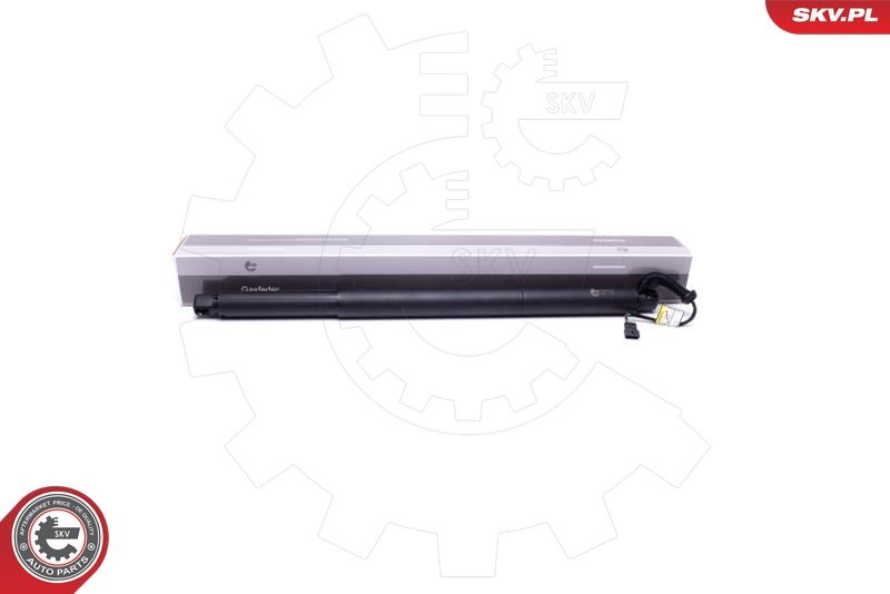 ESEN SKV 52SKV905 Electric Motor, tailgate