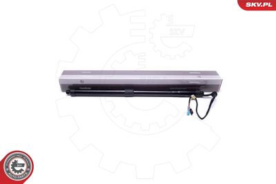 Electric Motor, tailgate ESEN SKV 52SKV906