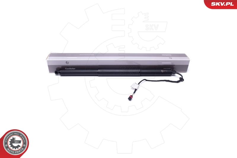ESEN SKV 52SKV907 Electric Motor, tailgate
