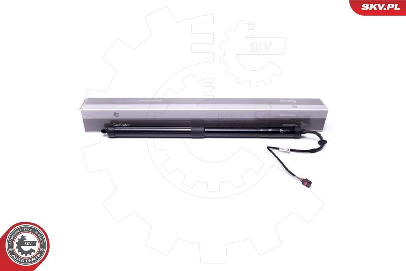 ESEN SKV 52SKV908 Electric Motor, tailgate