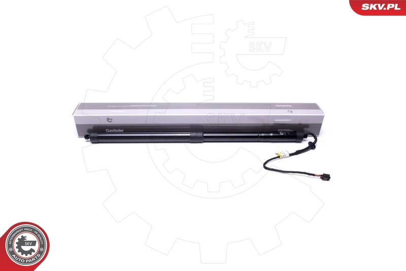 ESEN SKV 52SKV910 Electric Motor, tailgate