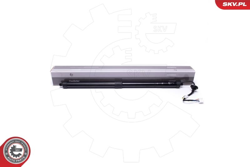 ESEN SKV 52SKV912 Electric Motor, tailgate