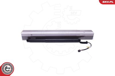 Electric Motor, tailgate ESEN SKV 52SKV913