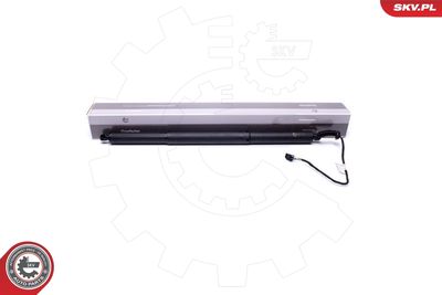 Electric Motor, tailgate ESEN SKV 52SKV914