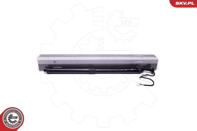 Electric Motor, tailgate ESEN SKV 52SKV915