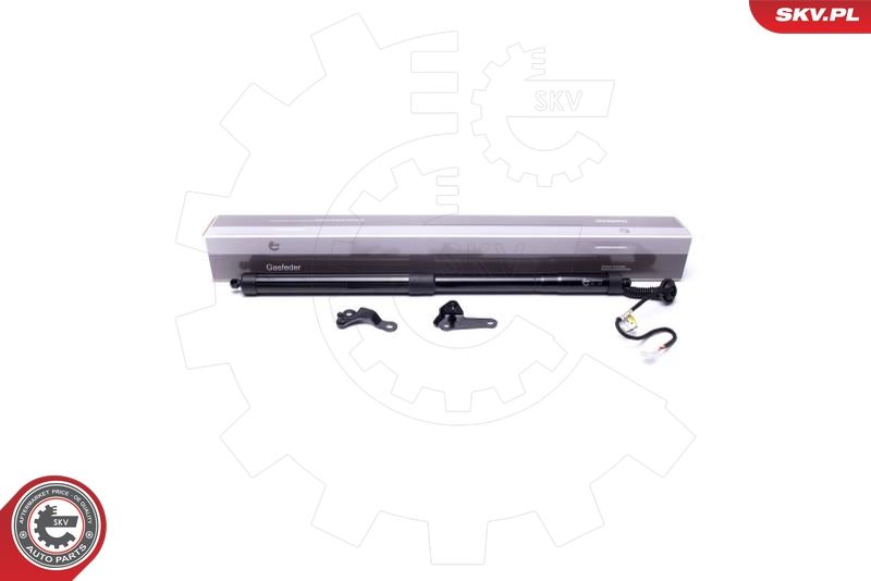 ESEN SKV 52SKV916 Electric Motor, tailgate