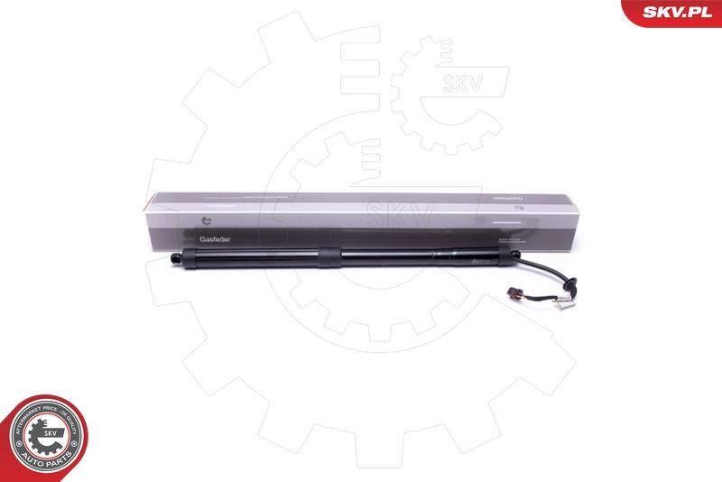 ESEN SKV 52SKV919 Electric Motor, tailgate