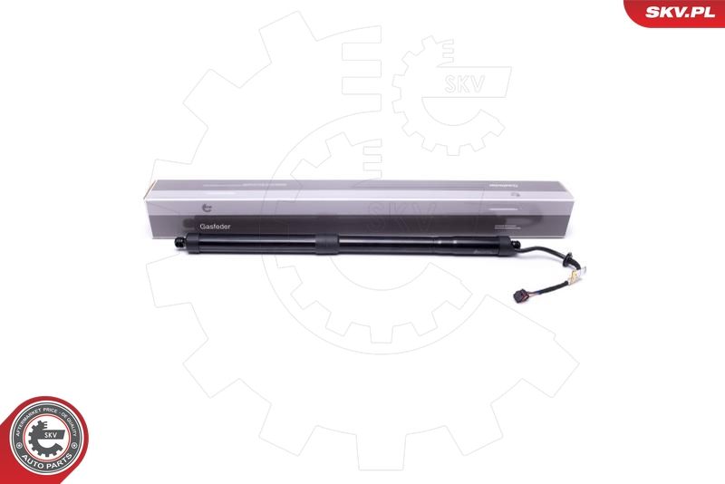 ESEN SKV 52SKV920 Electric Motor, tailgate