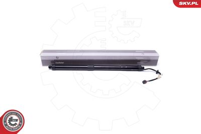 Electric Motor, tailgate ESEN SKV 52SKV920