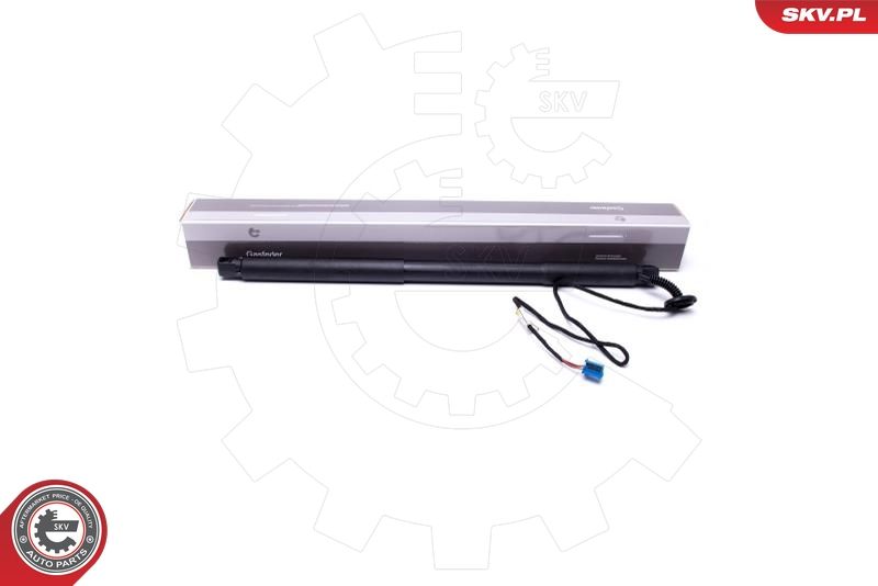 ESEN SKV 52SKV922 Electric Motor, tailgate