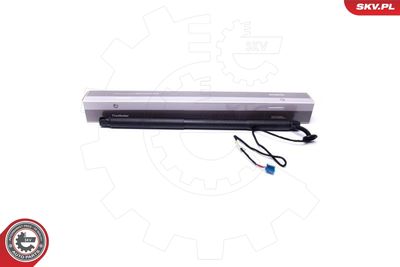 Electric Motor, tailgate ESEN SKV 52SKV922