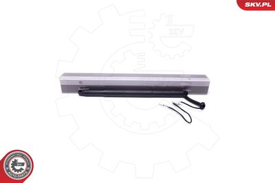 Electric Motor, tailgate ESEN SKV 52SKV924