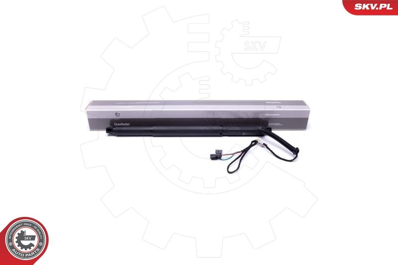 ESEN SKV 52SKV925 Electric Motor, tailgate