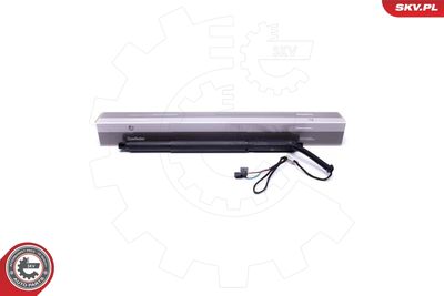 Electric Motor, tailgate ESEN SKV 52SKV925