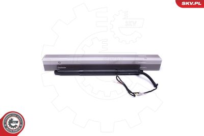 Electric Motor, tailgate ESEN SKV 52SKV926