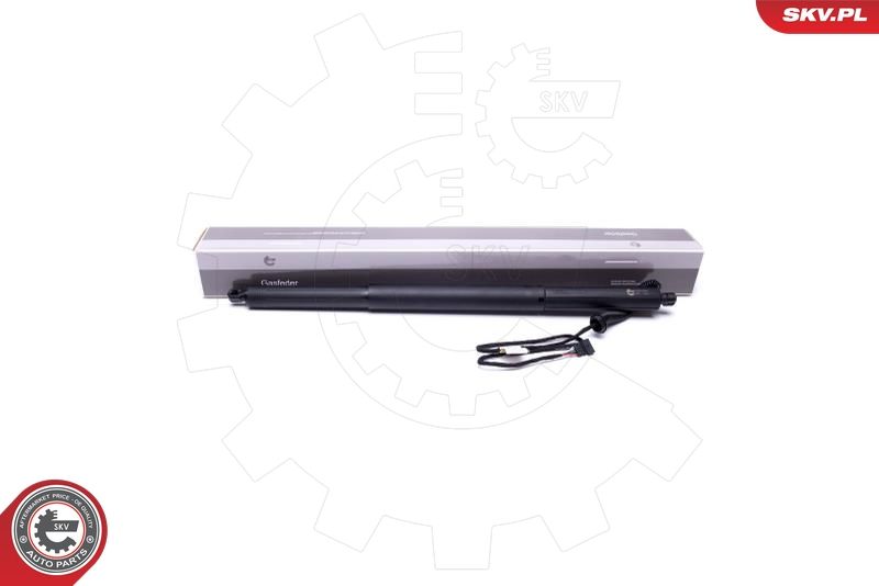 ESEN SKV 52SKV929 Electric Motor, tailgate