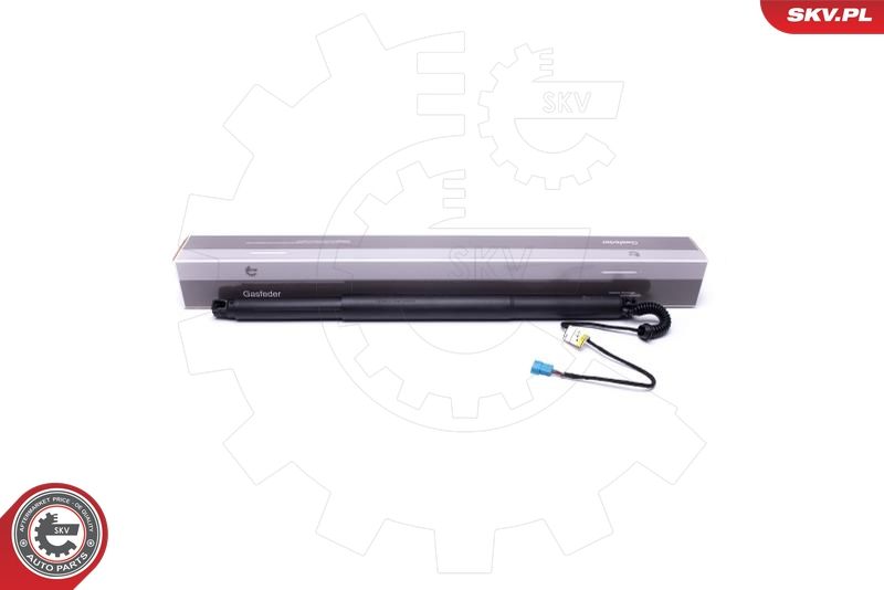 ESEN SKV 52SKV932 Electric Motor, tailgate