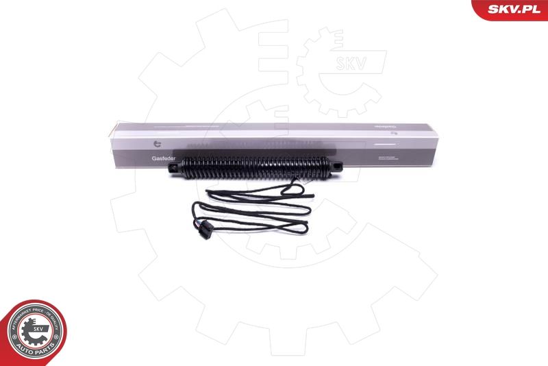 ESEN SKV 52SKV933 Electric Motor, tailgate