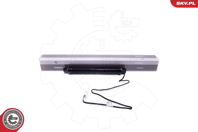 ESEN SKV 52SKV934 Electric Motor, tailgate