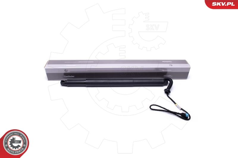 ESEN SKV 52SKV935 Electric Motor, tailgate