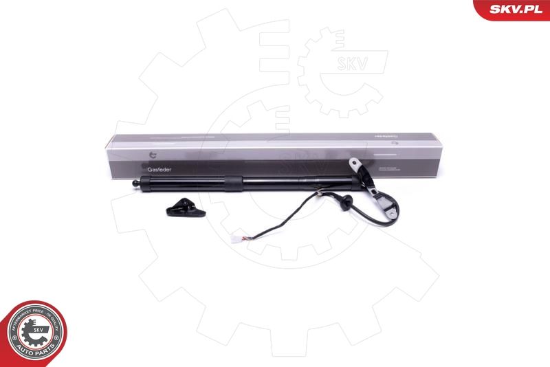 ESEN SKV 52SKV937 Electric Motor, tailgate