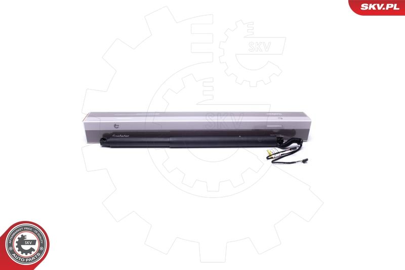 ESEN SKV 52SKV942 Electric Motor, tailgate