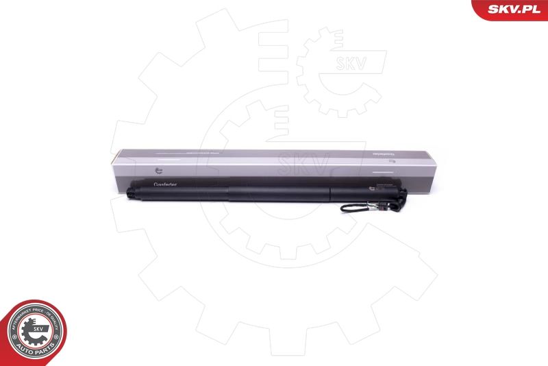 ESEN SKV 52SKV943 Electric Motor, tailgate